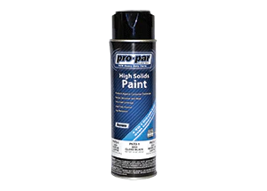 Aurora Spray Paint Black Gloss 16Oz | PNT3-1