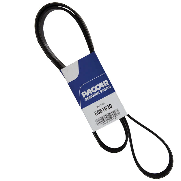 Dynacraft Belt-Poly 6 Ribs X 1620 End/ | D84-1000-6061620