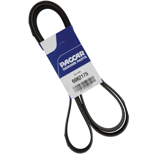 Dynacraft Belt Rsl | D84-1000-6062175
