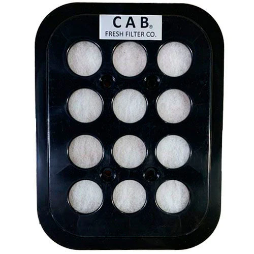 Cab Fresh Replacement Filter | R19335
