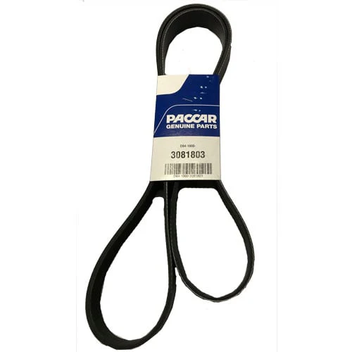 Dynacraft Belt-Poly 8 Ribs X 1803 Orio | D84-1000-3081803