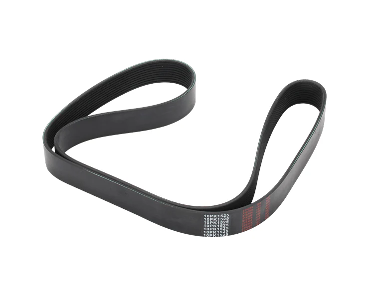 Elite Belt - 10 Rib 1529Mm (60.20") | ETP-10PK1529