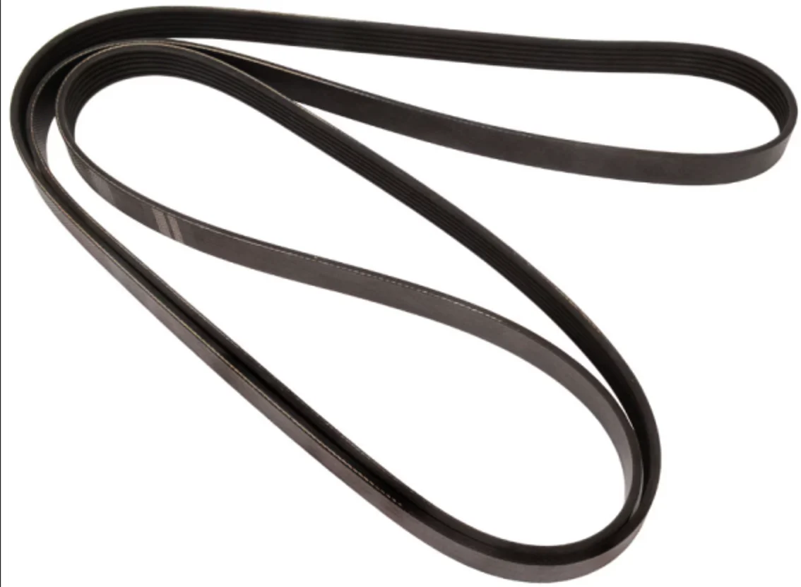Elite Belt - 12 Rib 1161Mm (45.71") | ETP-12PK1161