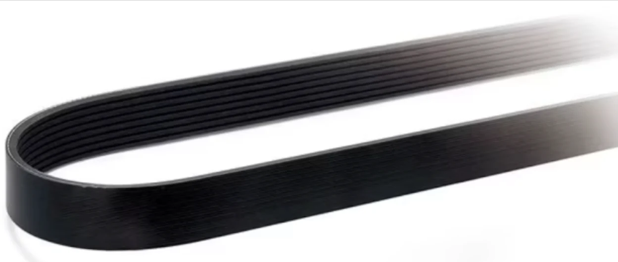 Elite Belt - 8 Rib 2005Mm (78.94") | ETP-8PK2005